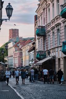 Justiniškėse dingo 11-metė Kamilė: telefonas išjungtas, mama prašo vilniečių pagalbos