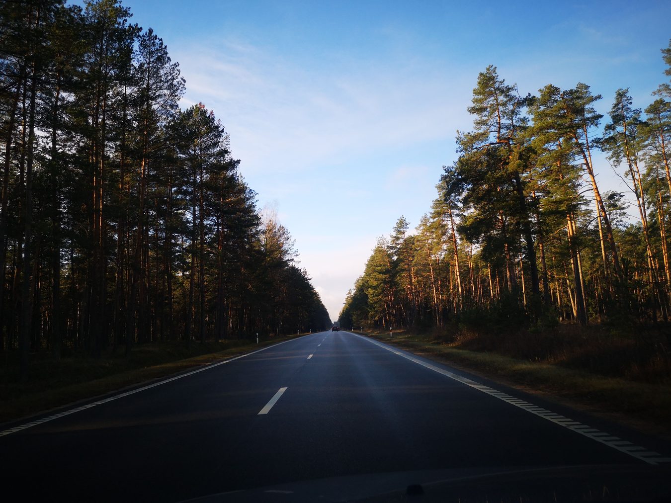Alytaus rajonas su „Via Lietuva“ derina kelių projektus