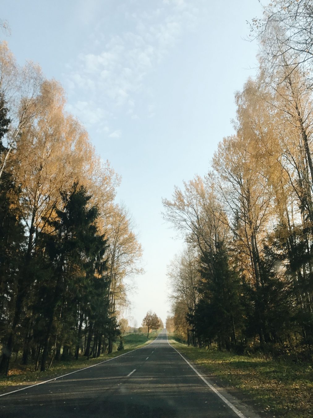 Lazdijų rajone Baltijos kelio dieną užbaigė ąžuoliukas Veisiejuose