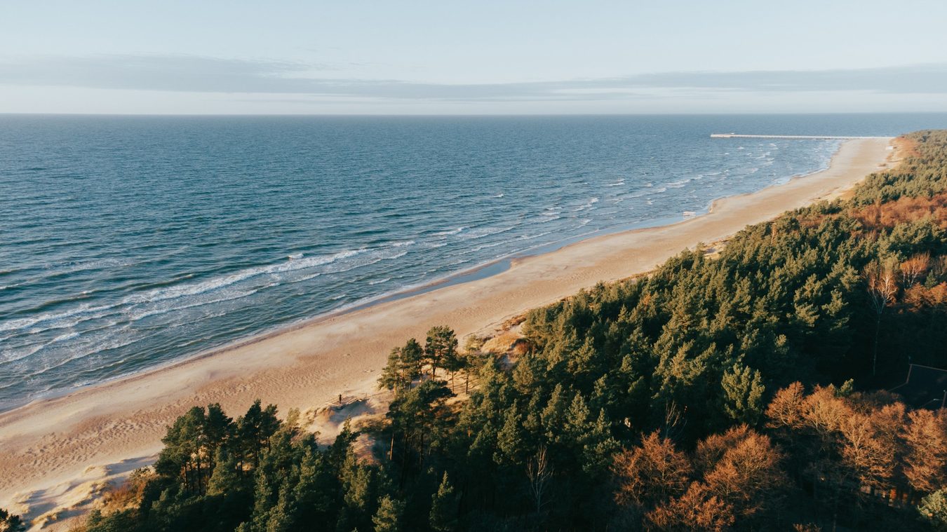 Po audros Palanga skaičiuoja nuvirtusius medžius