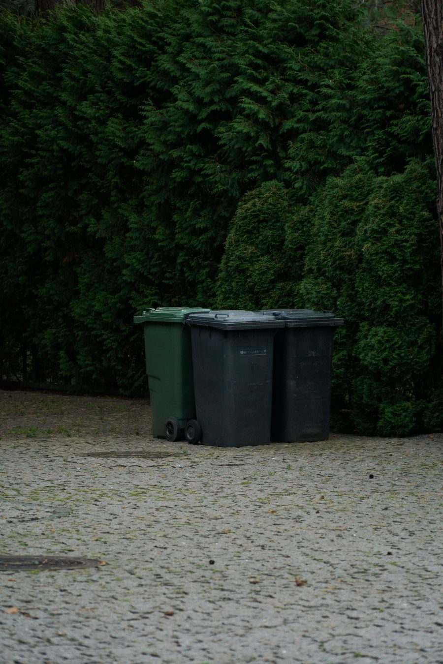 Kodėl Druskininkuose metalinis puodas keliauja į plastiką?
