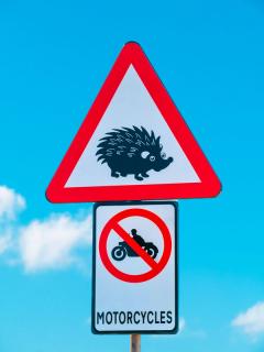 Kurorto gyventojams – pokytis link Dainų slėnio: naktį motociklams bus draudžiama važiuoti