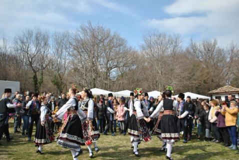 Tarškutis Kroatijoje užkūrė festivalį: 3300 km, Adrija ir bendras ratelis
