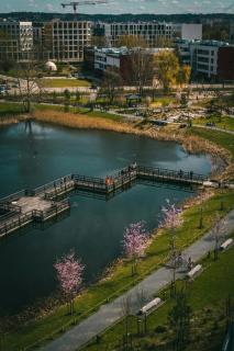 Artimiausių dienų orai Lietuvoje – kaip sūpuoklėse