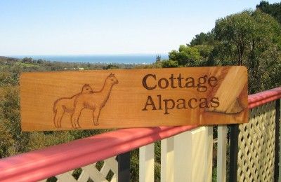 Alpacas Cottage Sign