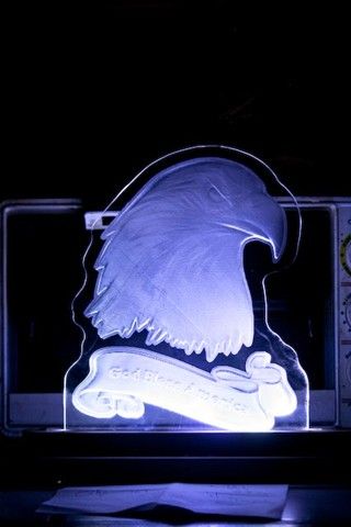 Acrylic Eagle Head Light