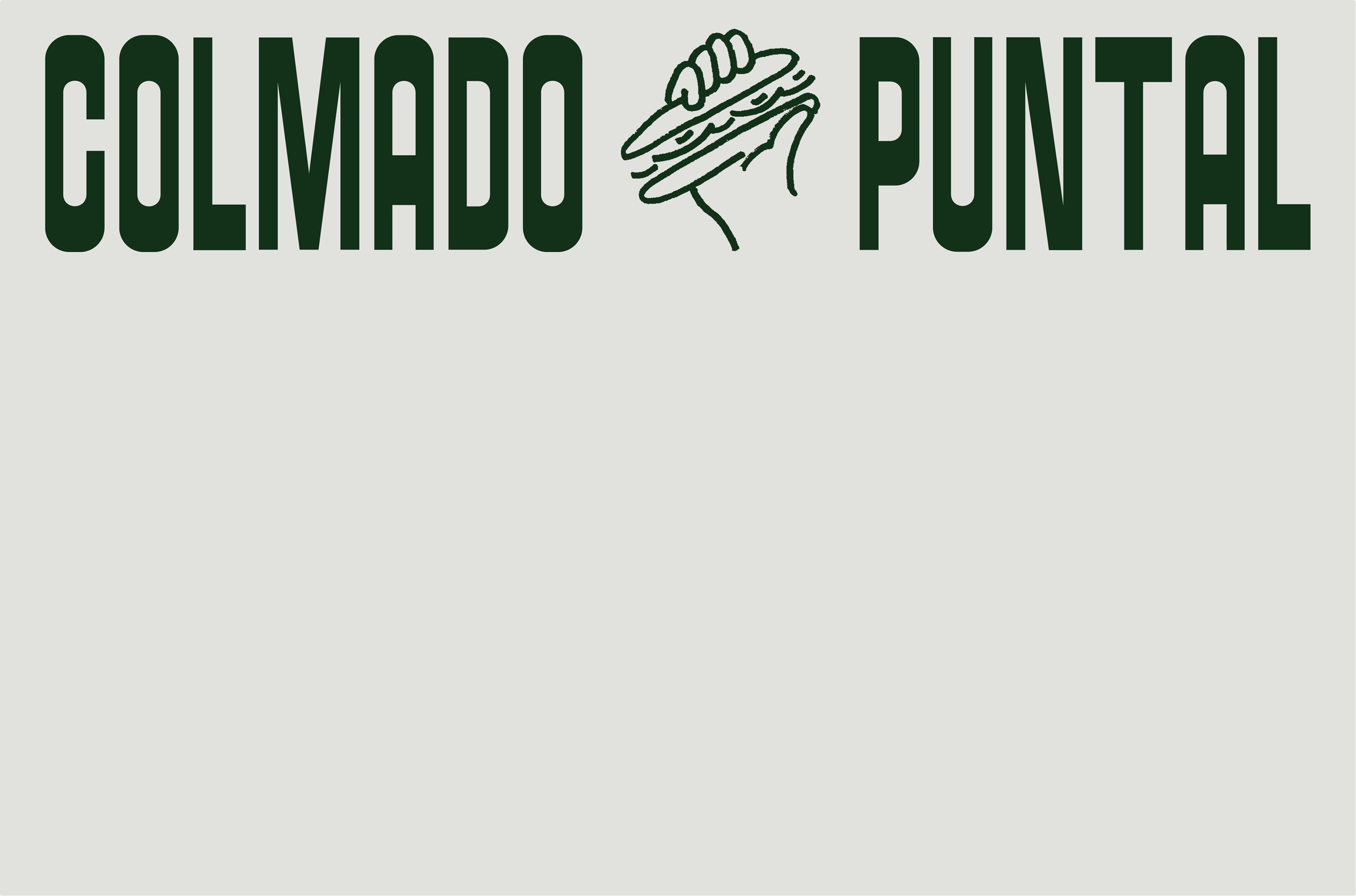 Colmado Puntal