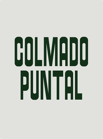 Colmado Puntal