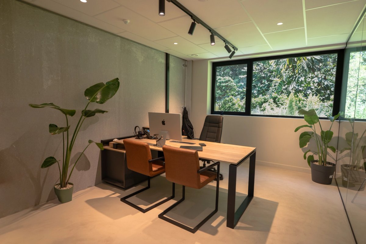 Director's office with a light oak desk, tan leather chairs and large plants beside a window onto greenery