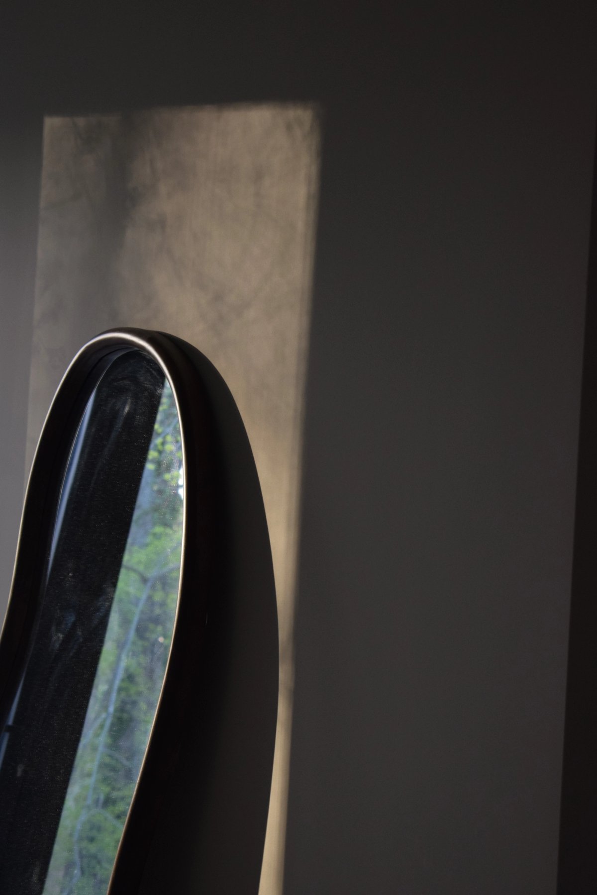 Oval mirror on a dark wall catching a shaft of daylight and reflecting green foliage