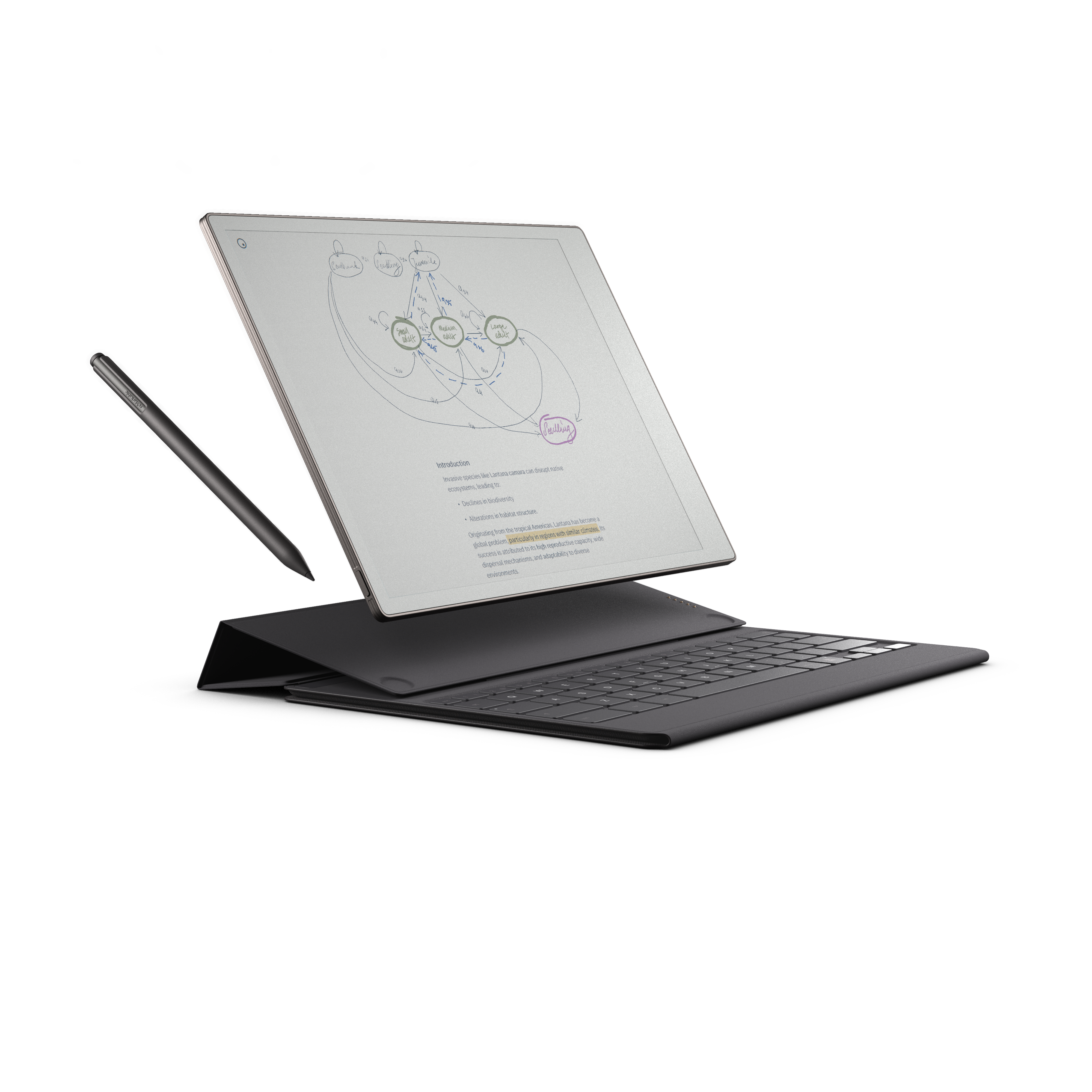 Type Folio for reMarkable Paper Pro | reMarkable