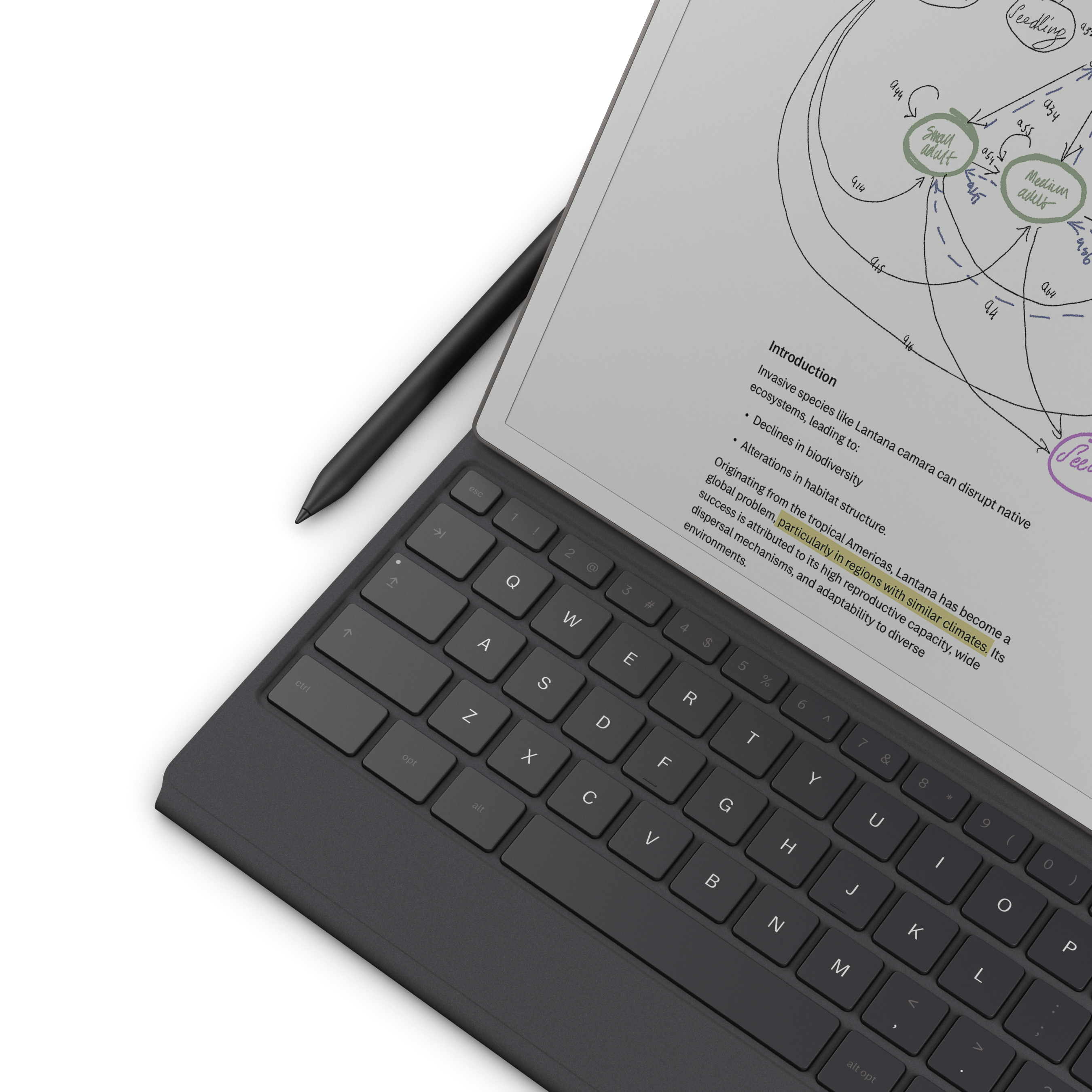 Type Folio for reMarkable Paper Pro | reMarkable