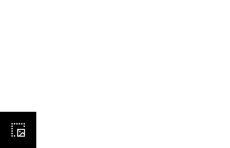 The user interface icon for the "Capture tool"