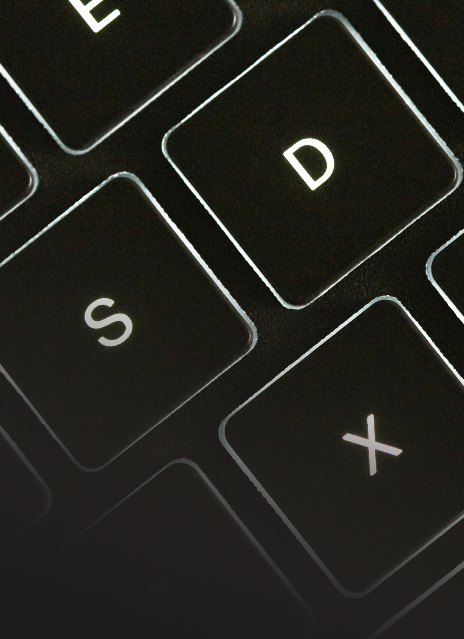 Close-up of Type Folio keys that glow in the dark.