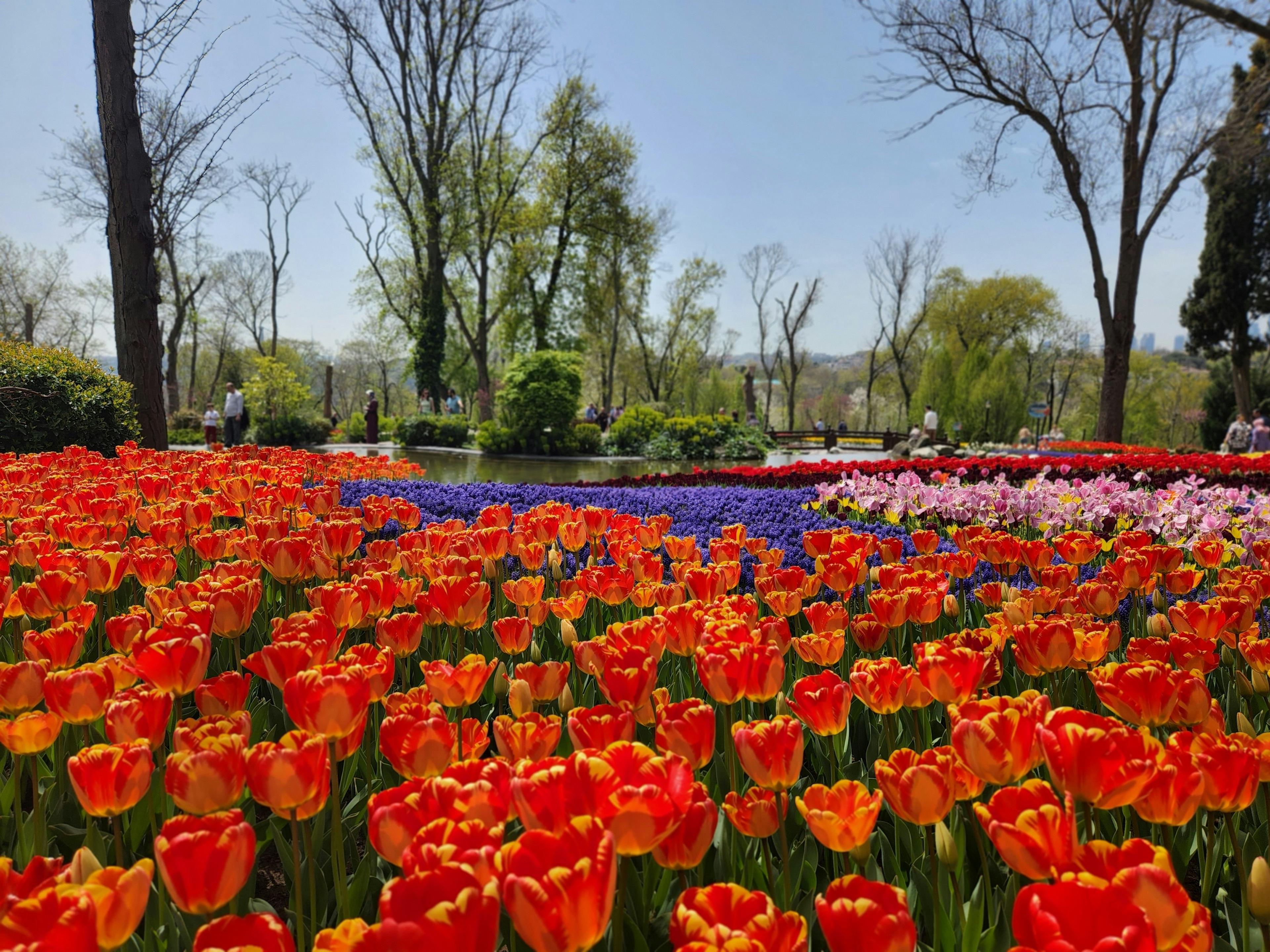 Best parks in istanbul - Emirgan Park