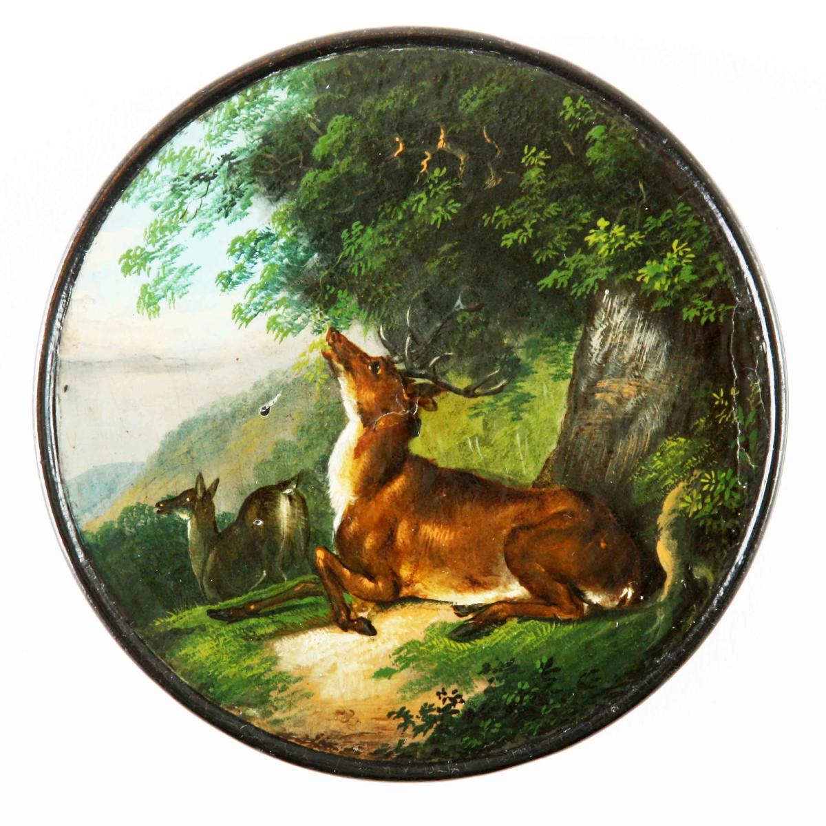Hirsch und Hirschkuh