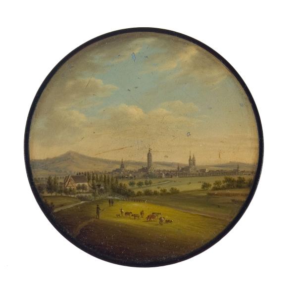 Blick auf Göttingen