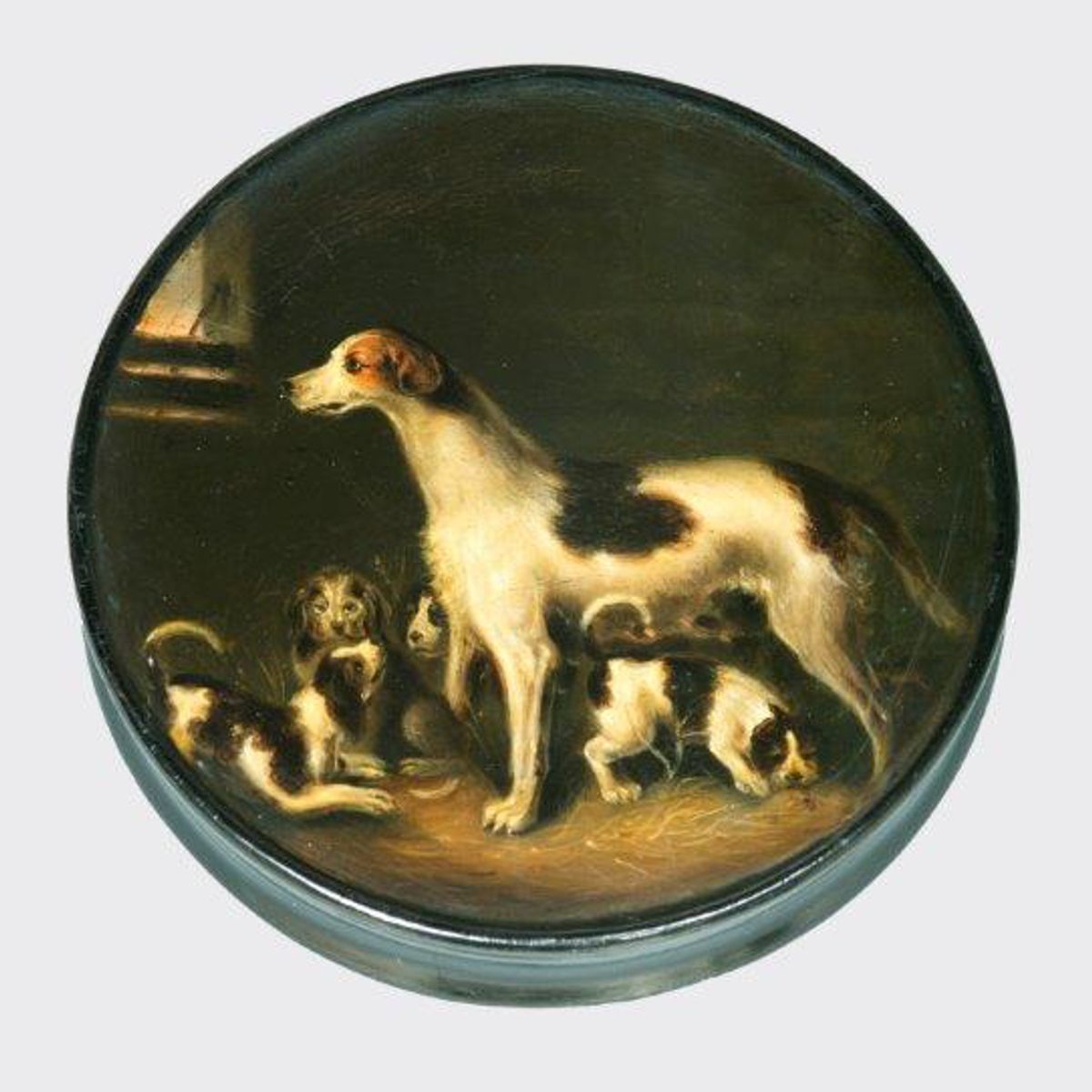 Hundefamilie