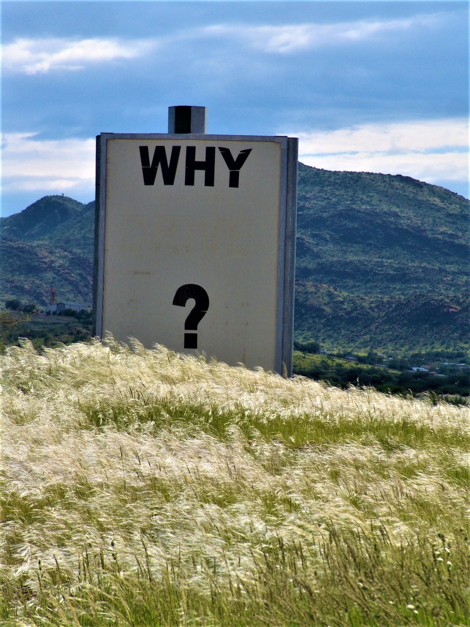 Sign in a field that says "Why?"