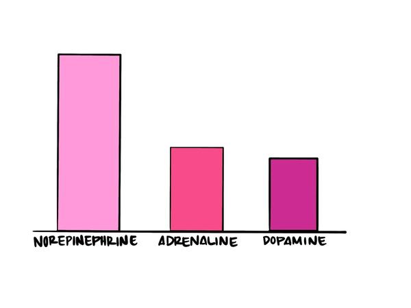 Bar chart with Norepinephrine, Adrenaline, and Dopamine as separate bars. In this illustration, the Norepinephrine is the highest of the three.