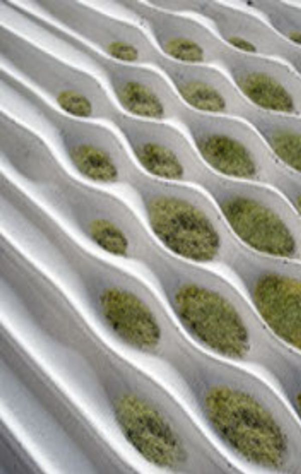 A photo of the textured concrete with moss growing in the crevices.