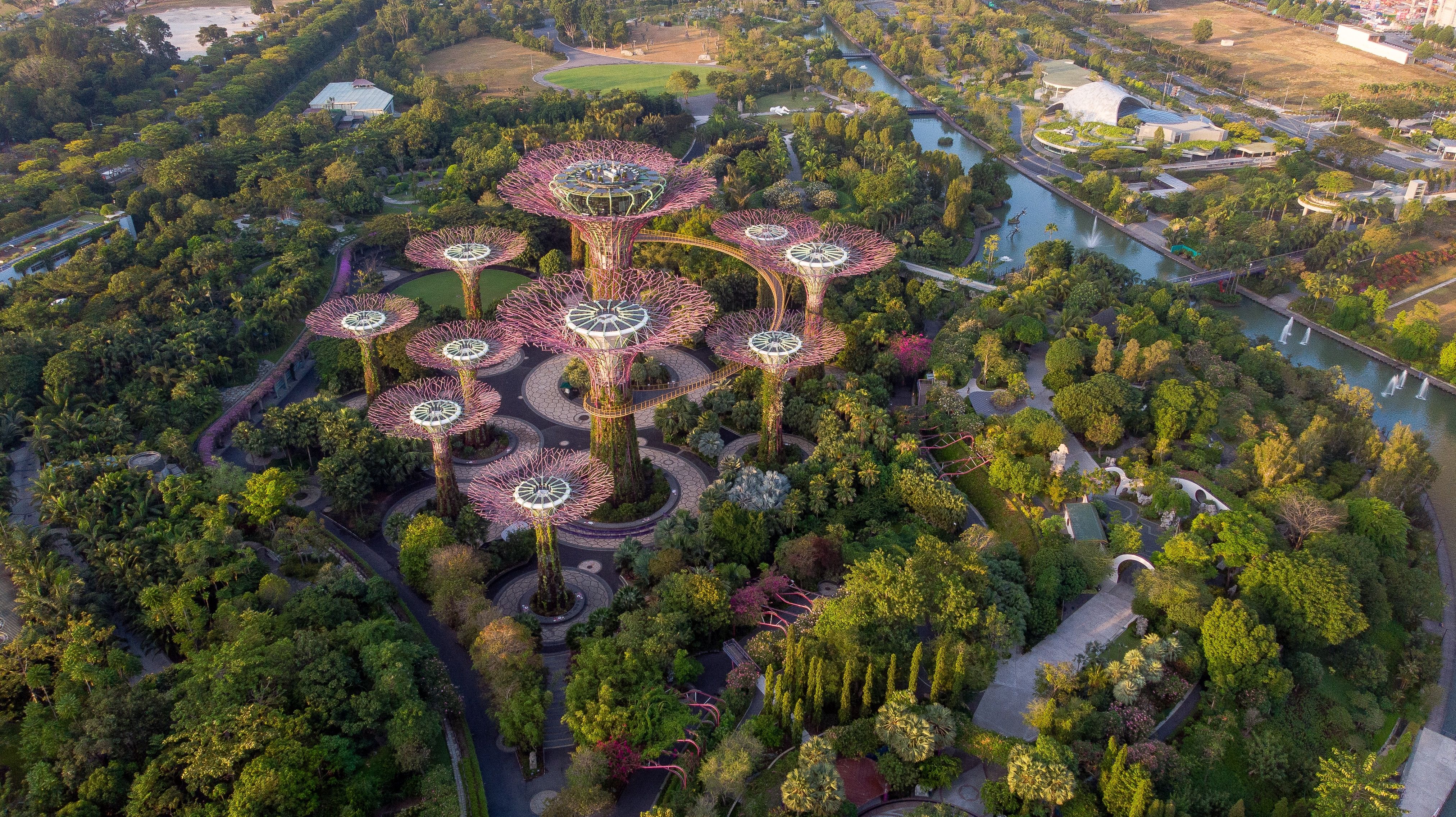 Aerial image of the solar powered, manmade trees in Gardens by the Bay in Singapore. Surrounding the manmade trees are lush gardens and forest, with a network of foot paths running through them.