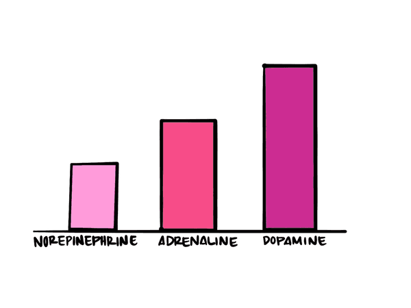 Bar chart illustration with Norepinephrine, Adrenaline, and Dopamine. In this chart, Norepinephrine is the lowest of the three hormones listed.