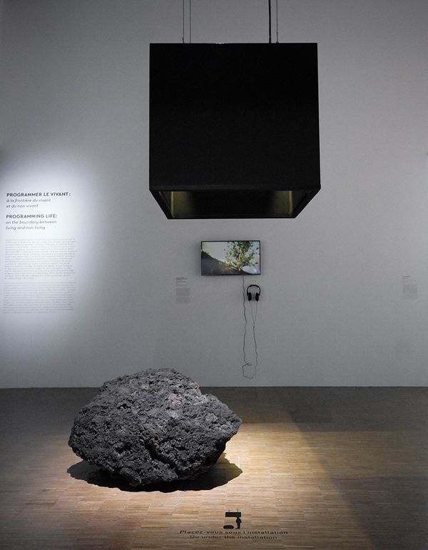 This is the Resurrecting the Sublime exhibit at the Cooper Hewitt Design Museum. A large, porous, dark grey rock stands on a bare wooden floor with a light shining down. Above the stone is a large, hollow black rectangle where a person can stand and experience the smell of flowers that are now extinct.