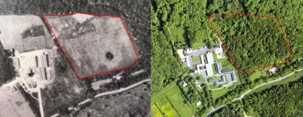 The first image shows an area of land that is bare grass. The second photo, taken 60 years later, shows the same plot filled in completely with trees and foliage.