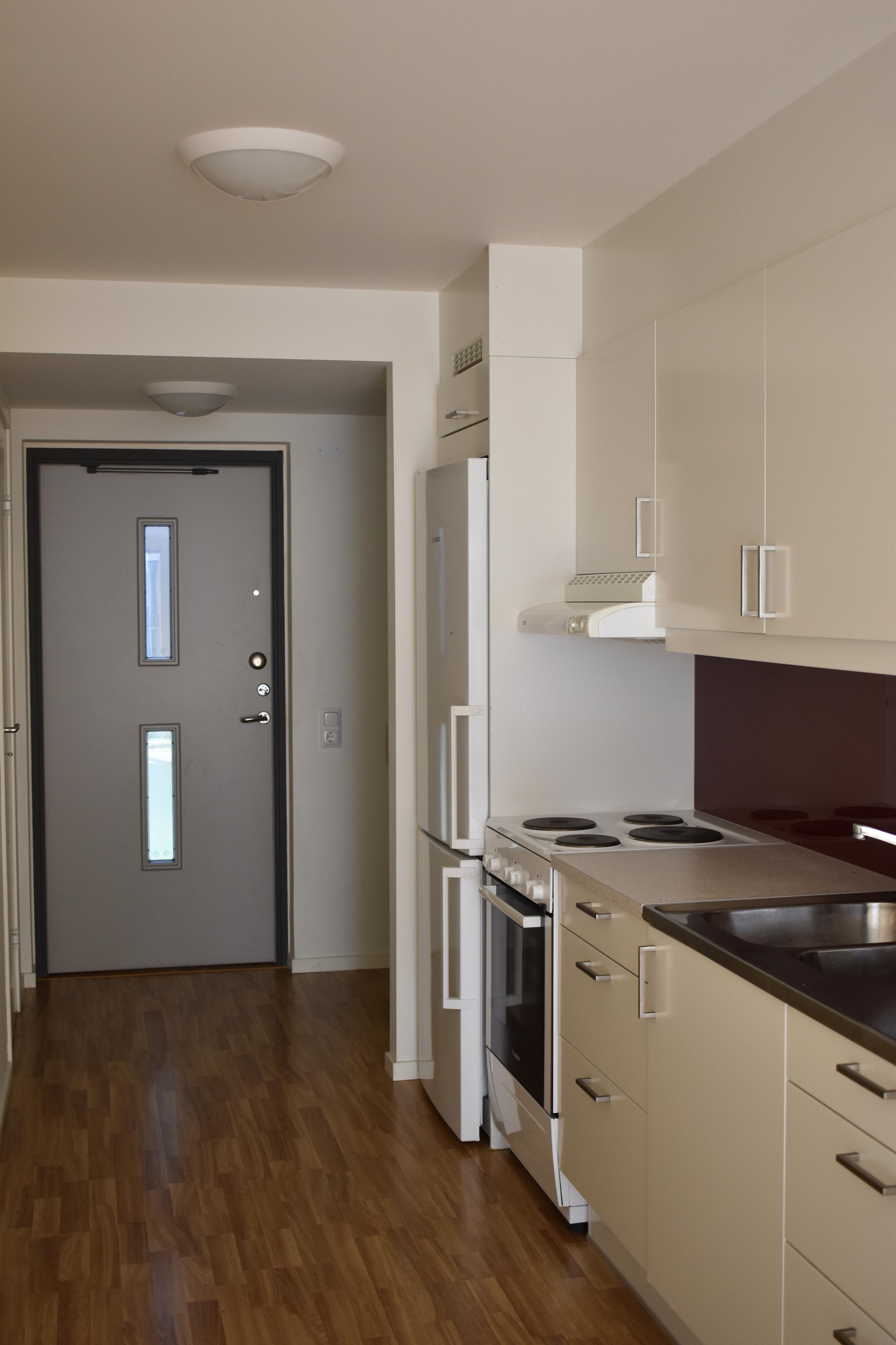 Student apartment. Hallway and kitchen. A grey front door