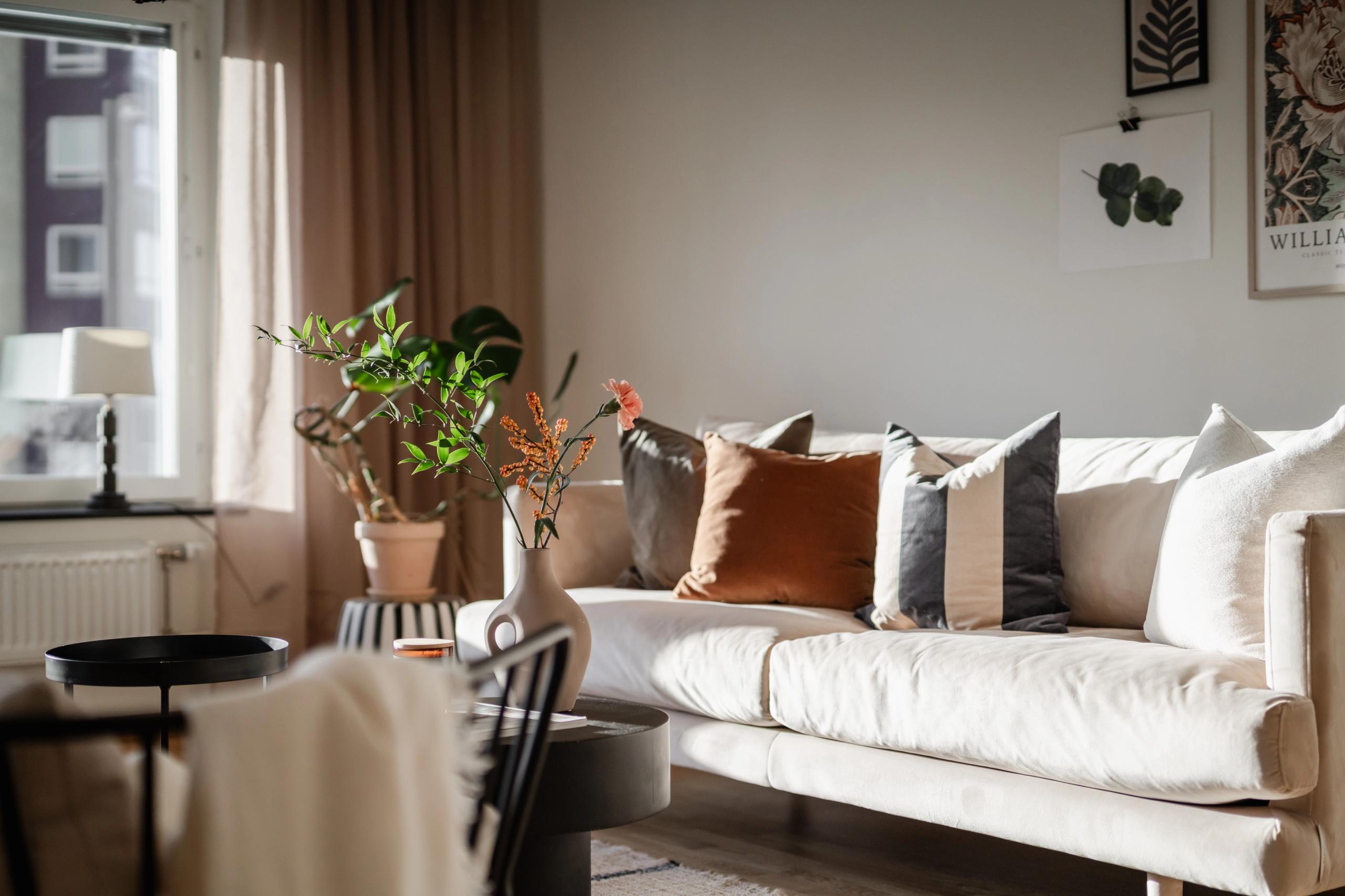 furnished living room