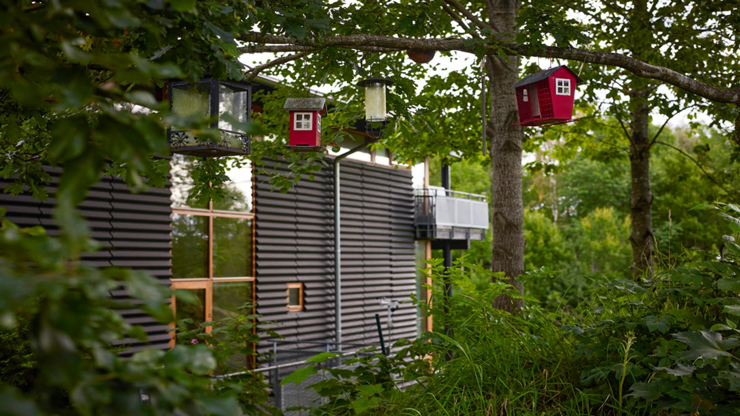Facade in Hestra with nesting boxes and leafy trees