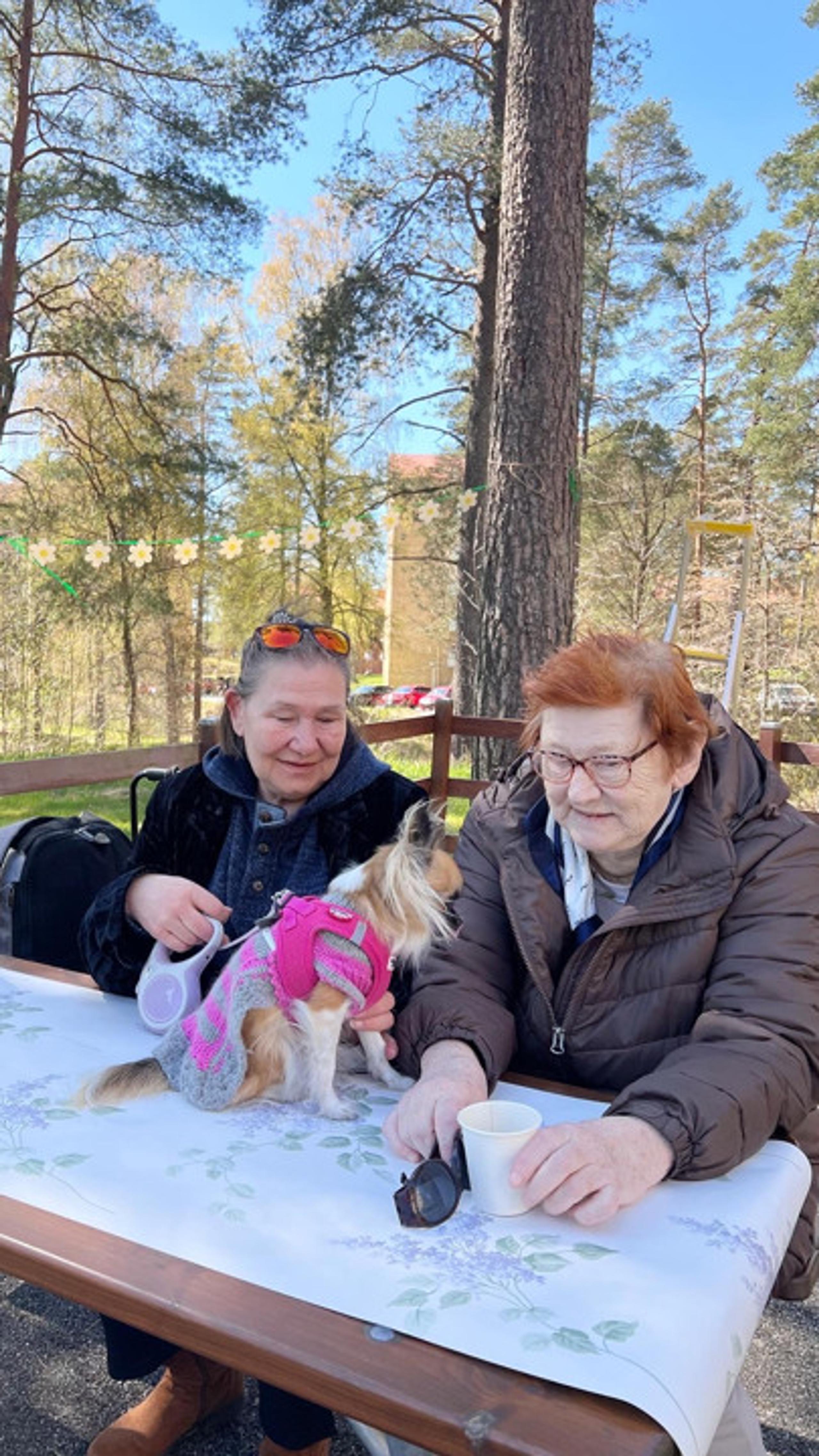 Plant swap day in Tullen