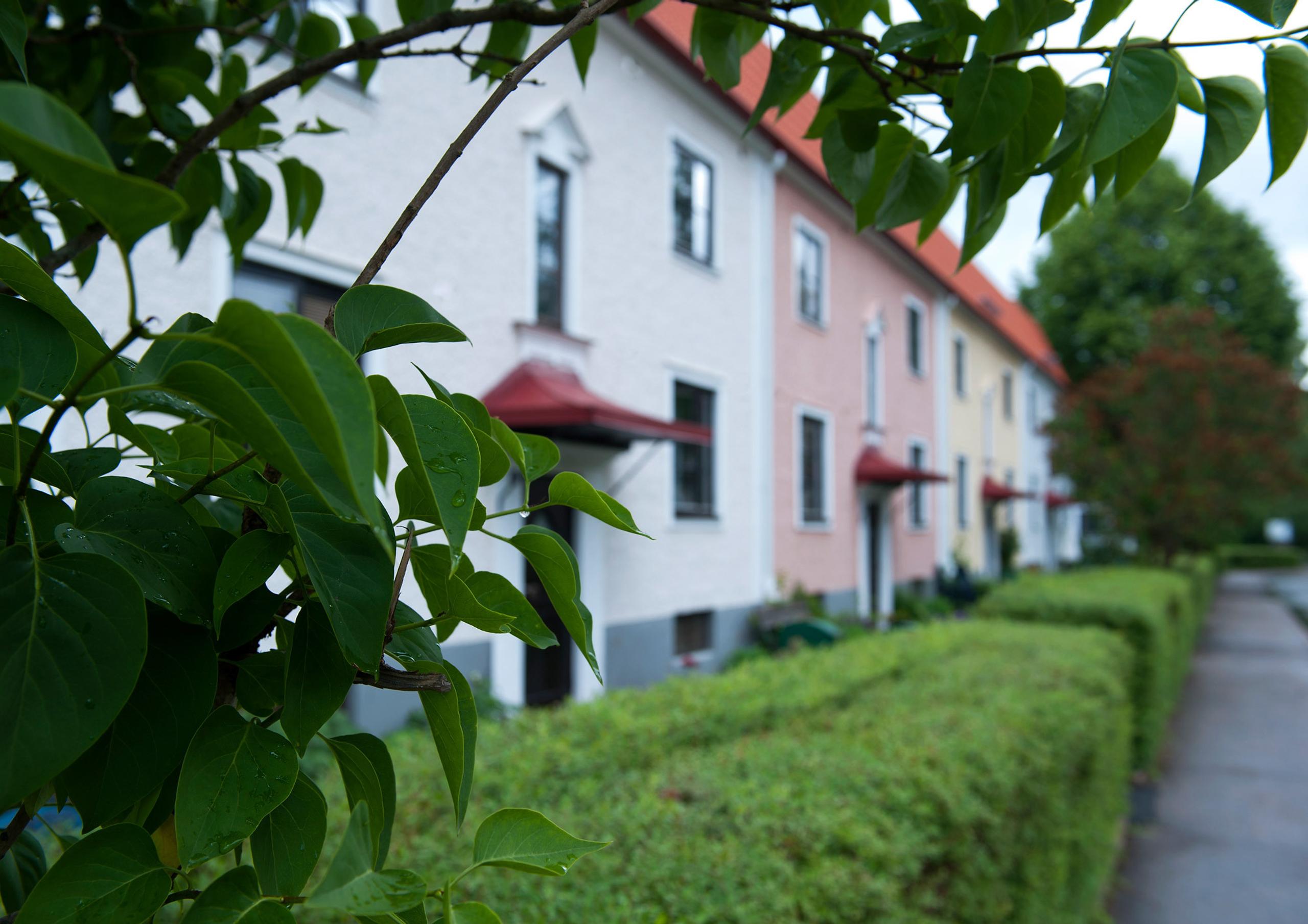 Close-up of several entrances with a hedge, in a two-storey building.