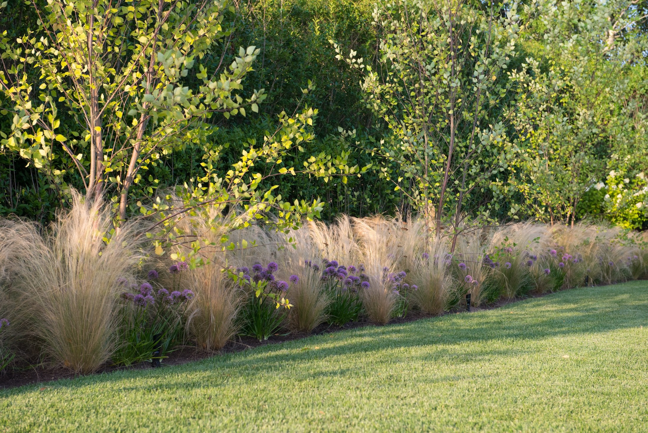 Miroslava-Land-and-Design-Nantucket-Landscape-Architecture-Lush-Garden-Landscape