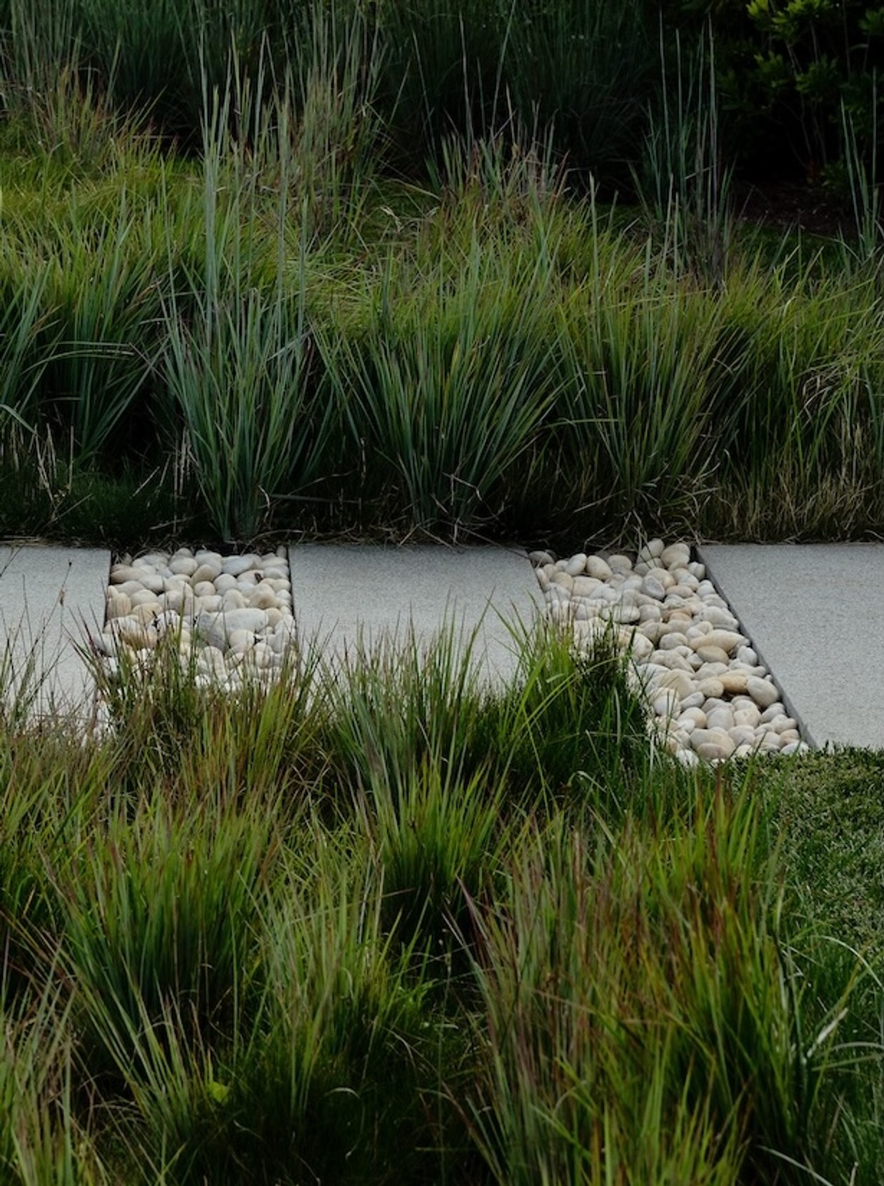 Miroslava-Land-and-Design-Nantucket-Landscape-Architecture-Pocomo-Estate-Serene-Garden-Pathway