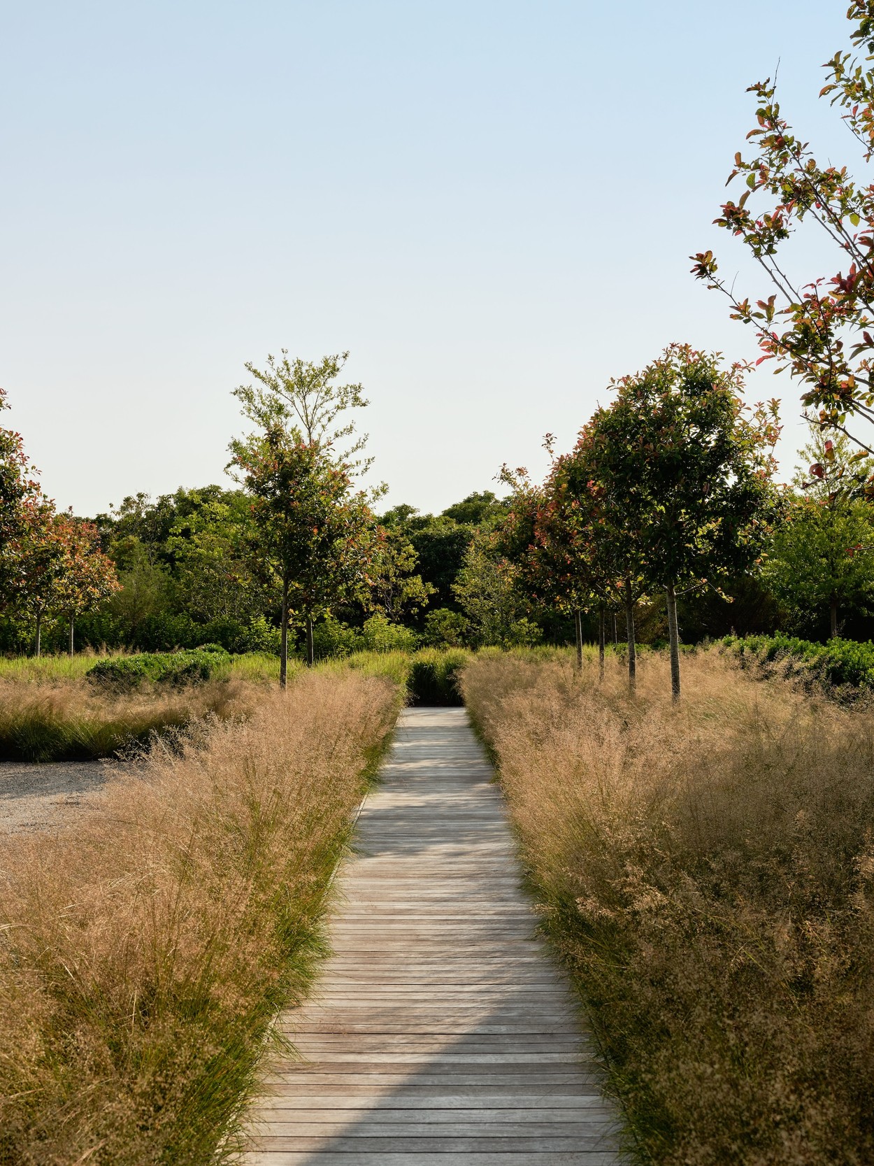 Miroslava-Land-and-Design-Nantucket-Landscape-Architecture-Pocomo-Estate-Serene-Garden-Path