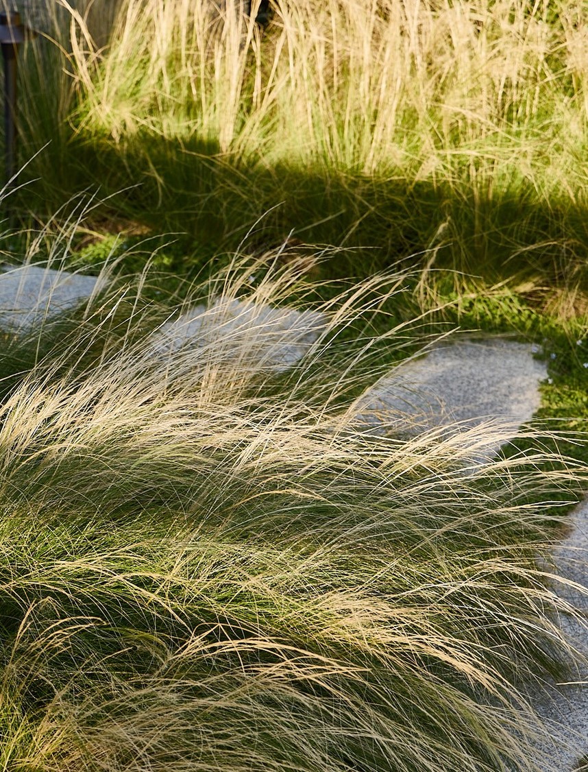 Miroslava-Land-and-Design-Nantucket-Landscape-Architecture-Stone-Path