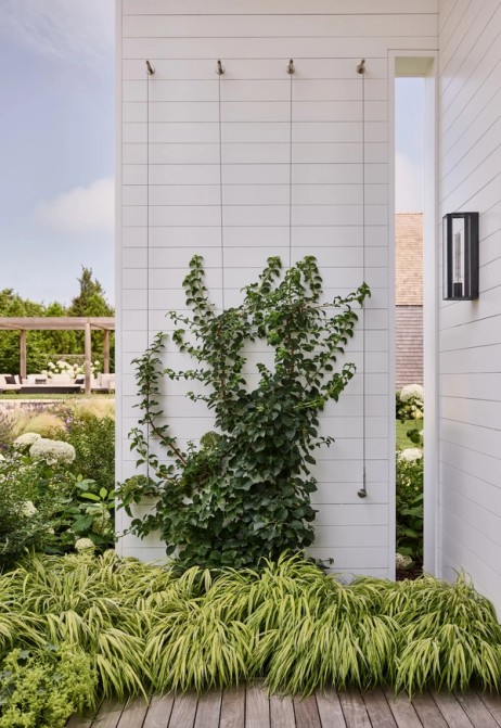 Miroslava-Land-and-Design-Nantucket-Landscape-Architecture-Courtyard-Vine