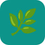 icon of [Product Name]
