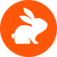 Logo of CodeRabbit