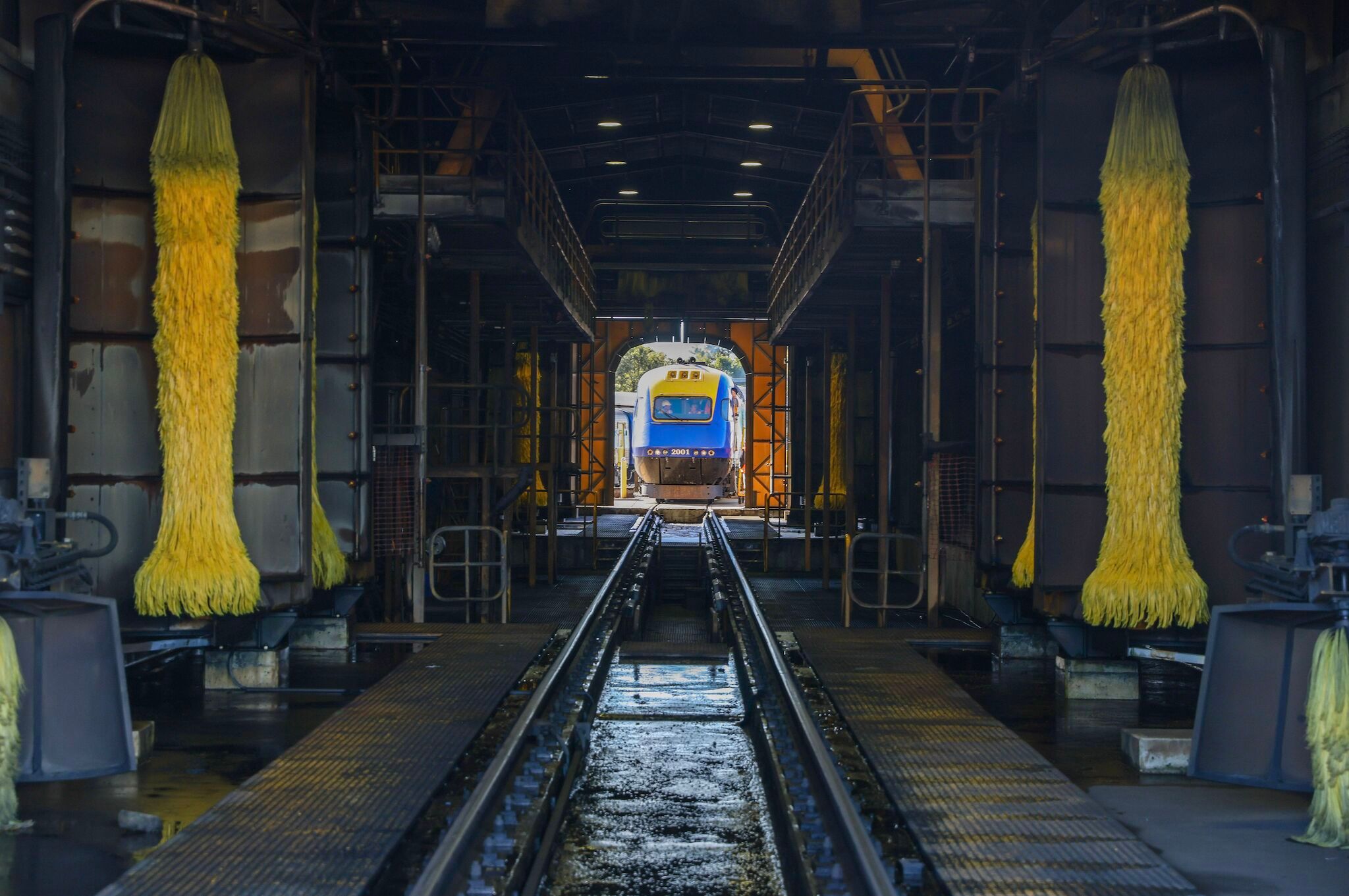 Sydenham Express Passenger Train WTP