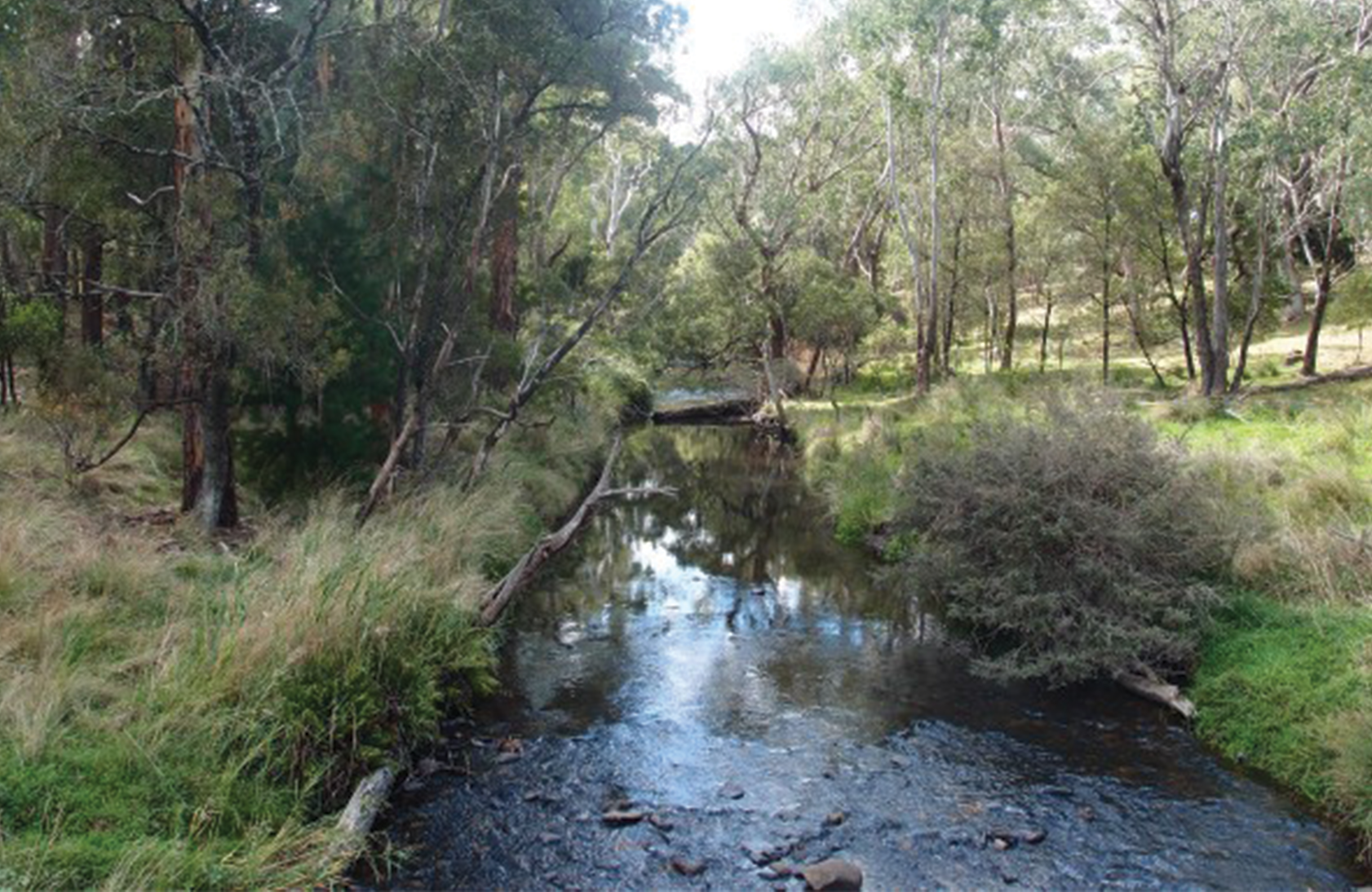Tumbarumba Shire Council