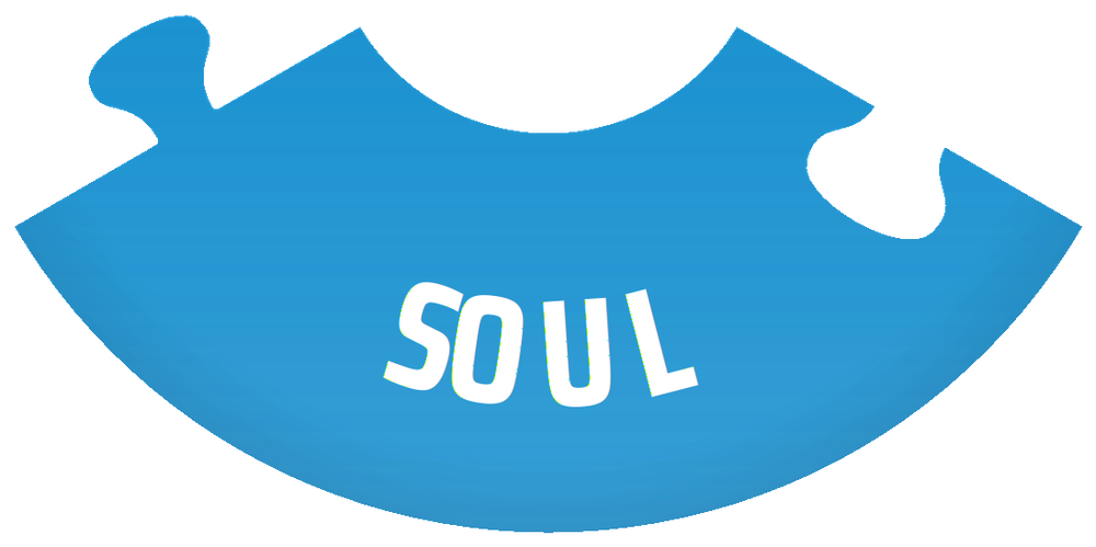 Soul: why we care
