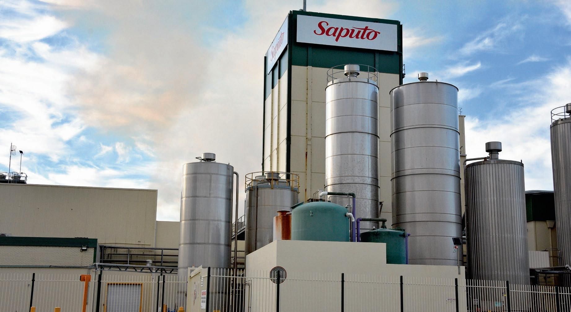 Saputo Loss In Weight Feeder