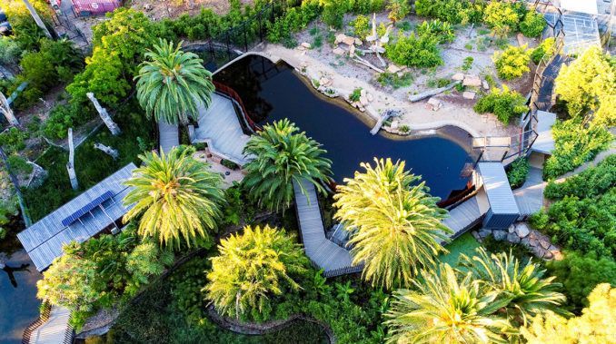 Melbourne Zoo Animal Enclosures