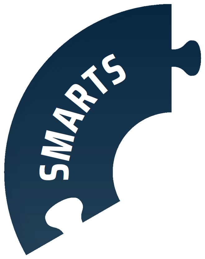 Smarts: how we think