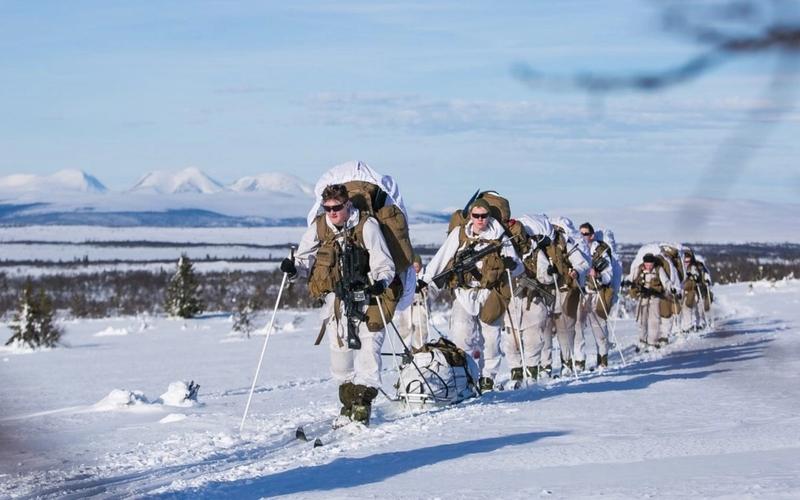 Arctic Solutions