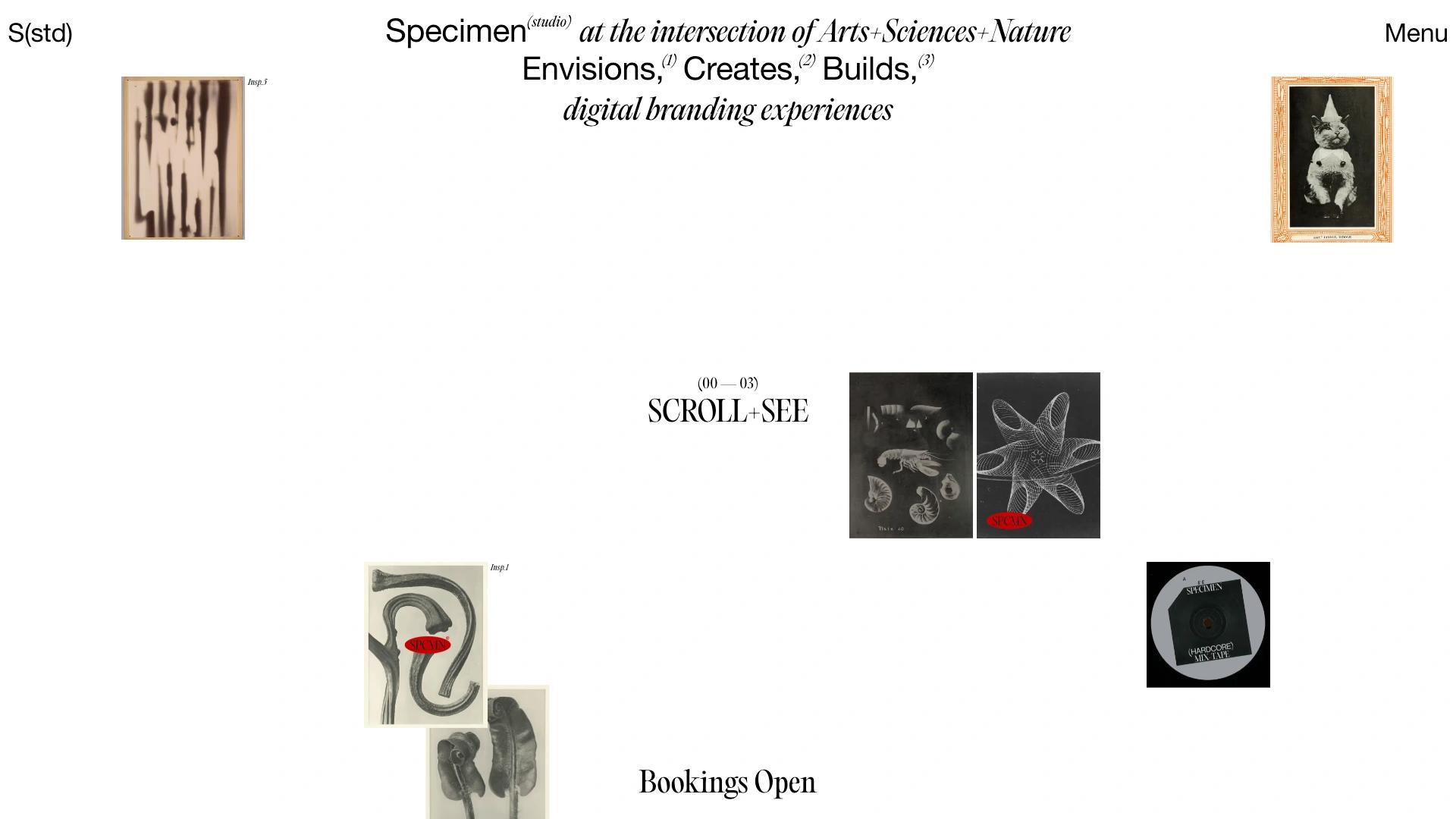 Specimen Studio