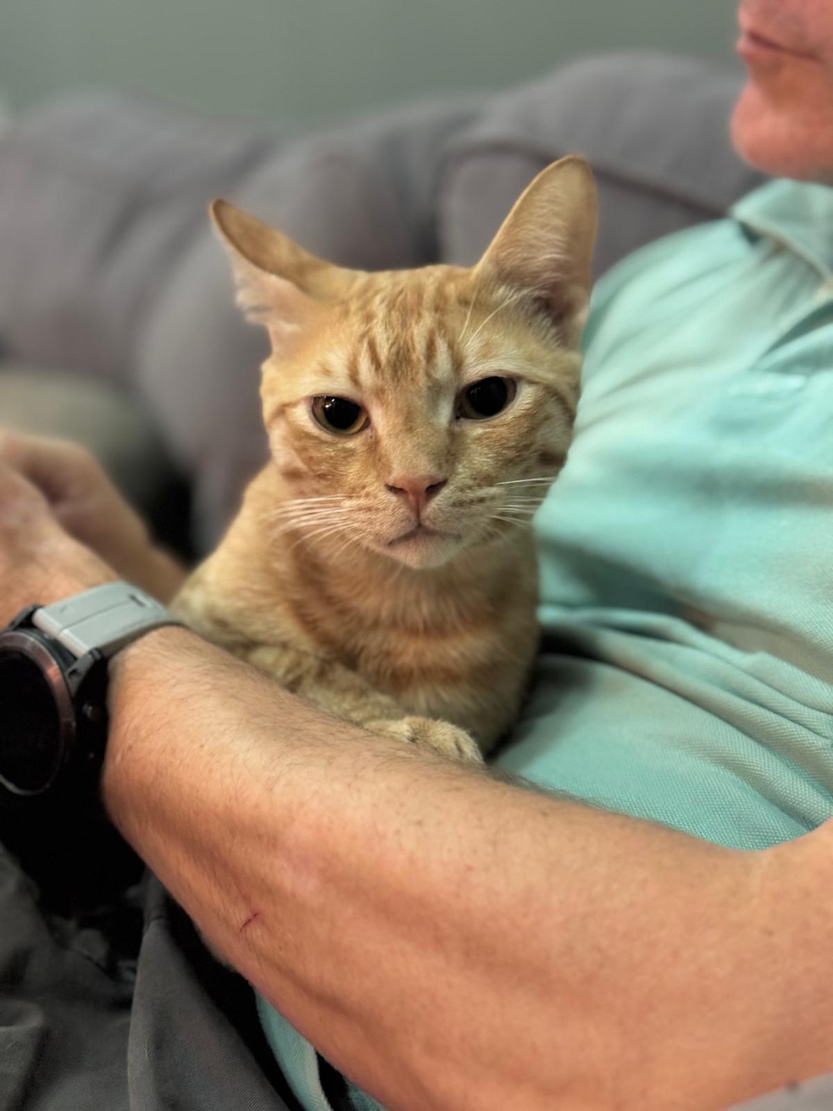 Cinnamon